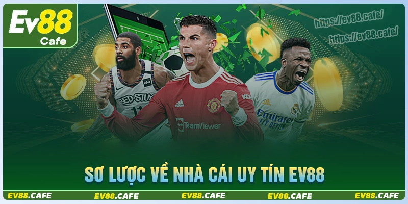 Giới thiệu sơ lược nhà cái cá cược ev88