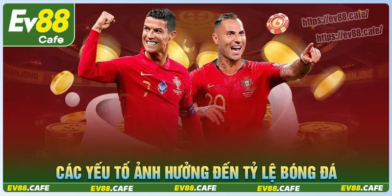 Các yếu tố ảnh hưởng đến tỷ lệ cược trong thể thao